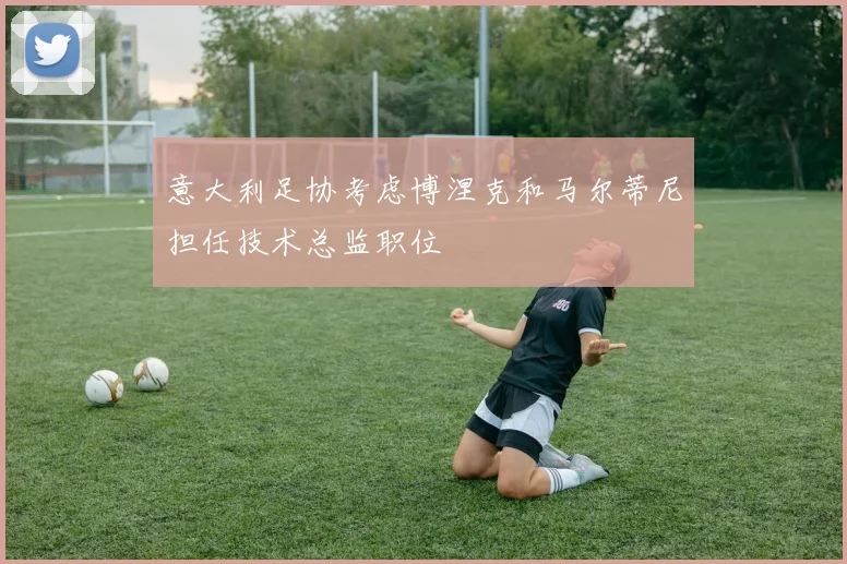 意大利足协考虑博涅克和马尔蒂尼担任技术总监职位